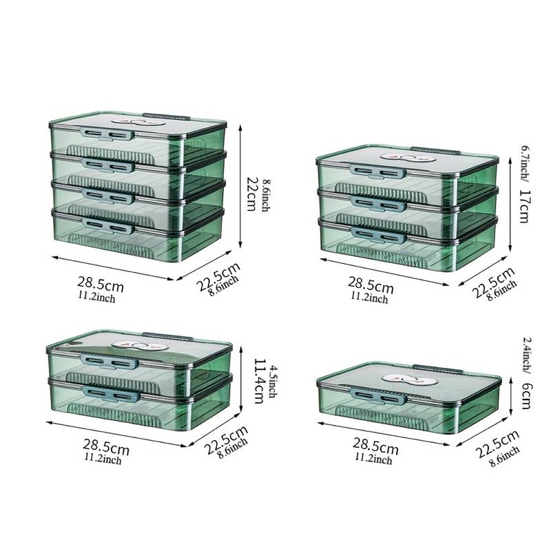Transparent Dumpling Storage Box