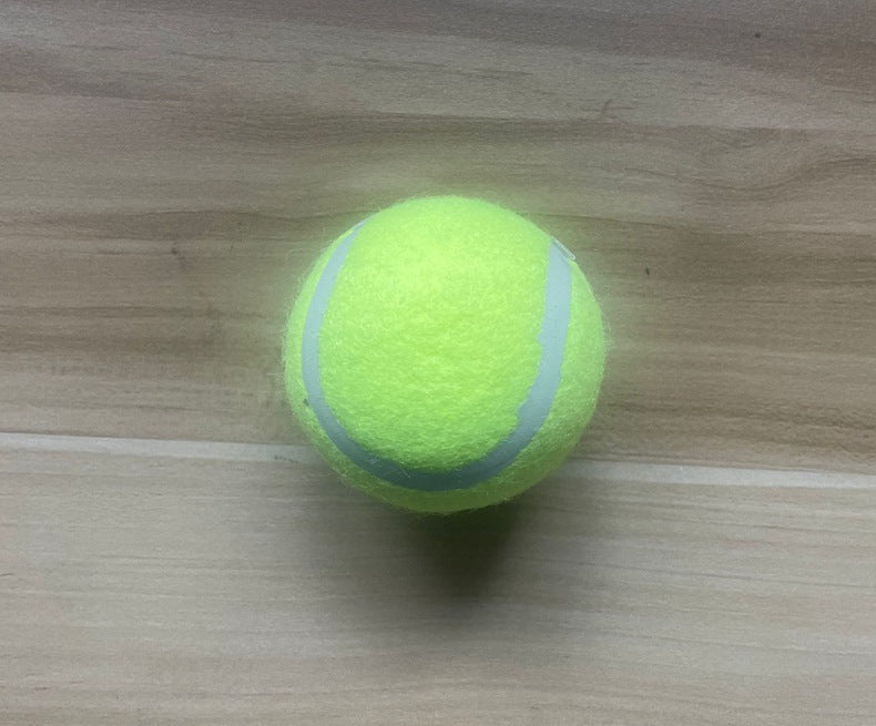 Pet Ball Launcher for Dog Training
