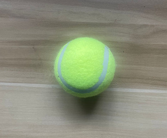Pet Ball Launcher for Dog Training