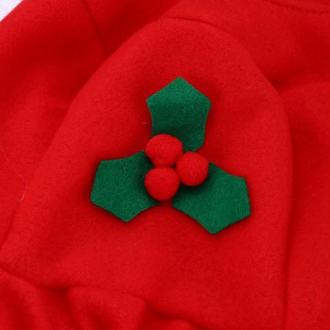 Santa Claus Toilet Seat Cover