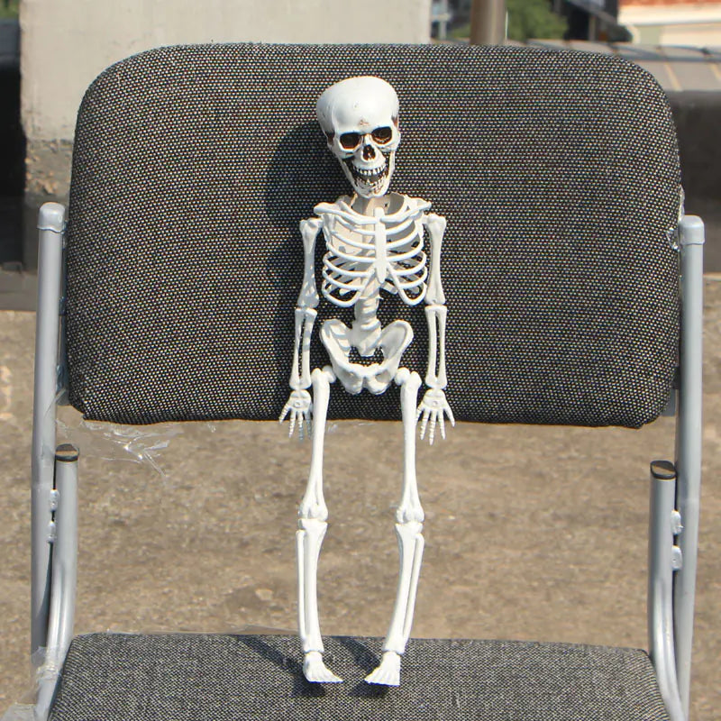 Realistic Skeleton Model